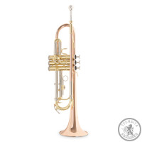 Труба Roy Benson-TR-202G