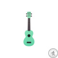  Укулеле KALA WATERMAN SEAFOAM GREEN MATTE SOPRANO UKULELE