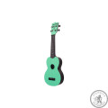 Укулеле KALA WATERMAN SEAFOAM GREEN MATTE SOPRANO UKULELE