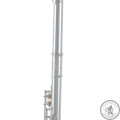 Флейта Roy Benson FL-402E2
