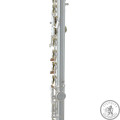Флейта Roy Benson FL-402E2