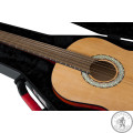Кейс для гітари GATOR GTSA-GTRCLASS CLASSIC GUITAR CASE