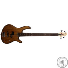 Бас-гітара CORT ACTION PJ (OPW)