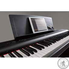 Цифрові піаніно Casio: на що звернути увагу при покупці