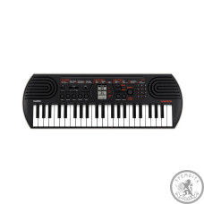 Типичные ошибки при выборе синтезатора Casio