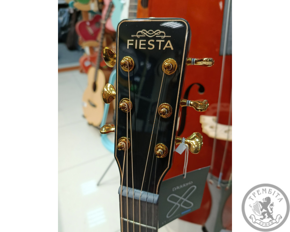 Трансакустична гітара Fiesta D2 EQ Nat