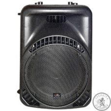 Акустическая система HL AUDIO MACK12A Акустическая система HL AUDIO MACK12A