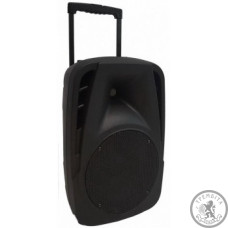 Акустична система SoundKing SKA10T Акустична система SoundKing SKA10T