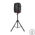 Акустична система Maximum Acoustics E.12 BLU