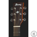 Гітара акустична Artwood, Ibanez AC240 OPN