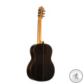 Класична гітара, Ibanez G500 NT