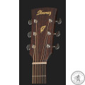 Гітара акустична IBANEZ PC12MH OPN