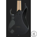 Электрогитара Ibanez RGD7UC ISH