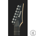 Электрогитара Ibanez RGD7UC ISH
