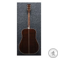 Гитара акустическая IBANEZ AVD80 NT