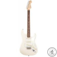 Електрогітара Fender AMERICAN PROFESSIONAL STRATOCASTER RW OWT