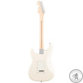 Электрогитара Fender AMERICAN PROFESSIONAL STRATOCASTER RW OWT