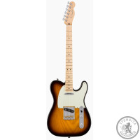 Електрогітара Fender AMERICAN PROFESSIONAL TELECASTER (ASH) MN 2TS