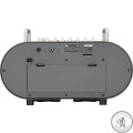 Комбопідсилювач KORG STAGEMAN 80