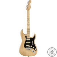 Електрогітара FENDER AMERICAN PROFESSIONAL STRATOCASTER MN NATURAL 