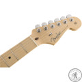 Электрогитара FENDER AMERICAN PROFESSIONAL STRATOCASTER MN NATURAL
