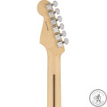 Электрогитара FENDER AMERICAN PROFESSIONAL STRATOCASTER MN NATURAL