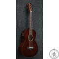 Бас-гітара IBANEZ AVNB1E BV