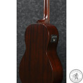 Бас-гітара IBANEZ AVNB1E BV