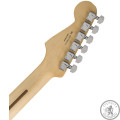 Электрогитара FENDER STANDARD STRATOCASTER PAU FERRO FINGERBOARD BROWN SUNBURST