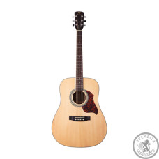Гітара акустична Virginia VD90