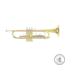 Труба Roy Benson TR-202 Bb Труба Roy Benson TR-202 Bb