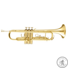 Труба Сі бемоль MAXTONE TTC30L (TTC1C) Труба Сі бемоль MAXTONE TTC30L (TTC1C)