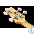 Бас-гитара IBANEZ ATK200 NT