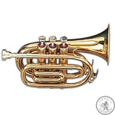 Міні труба Сі бемоль MAXTONE TT MINI 28L Міні труба Сі бемоль MAXTONE TT MINI 28L
