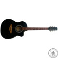 Гитара акустическая TREMBITA EAGLE E1 BK