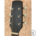 Гитара акустическая TREMBITA EAGLE E1 BK