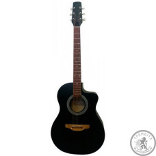 Гитара акустическая TREMBITA EAGLE E1 BK Гитара акустическая TREMBITA EAGLE E1 BK