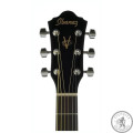Гитарный набор акустический IBANEZ VC50NJP NT