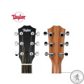 Гитара акустическая Taylor BBT