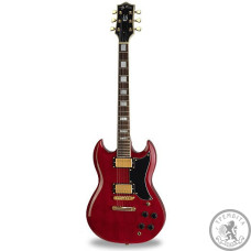 Электрогитара Jay Turser JT50 Custom TR Электрогитара Jay Turser JT50 Custom TR