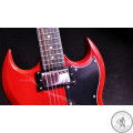 Электрогитара Jay Turser JT50 Custom TR