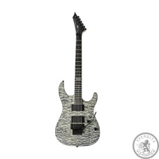Электрогитара VGS Pro Series Screech Электрогитара VGS Pro Series Screech