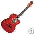 Класична Гітара MAXTONE CGC3910C