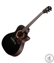 Акустична гітара Gopher Wood I 232 RC Midnight Dust з чохлом
