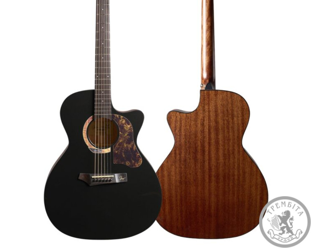 Акустична гітара Gopher Wood I 232 RC Midnight Dust з чохлом