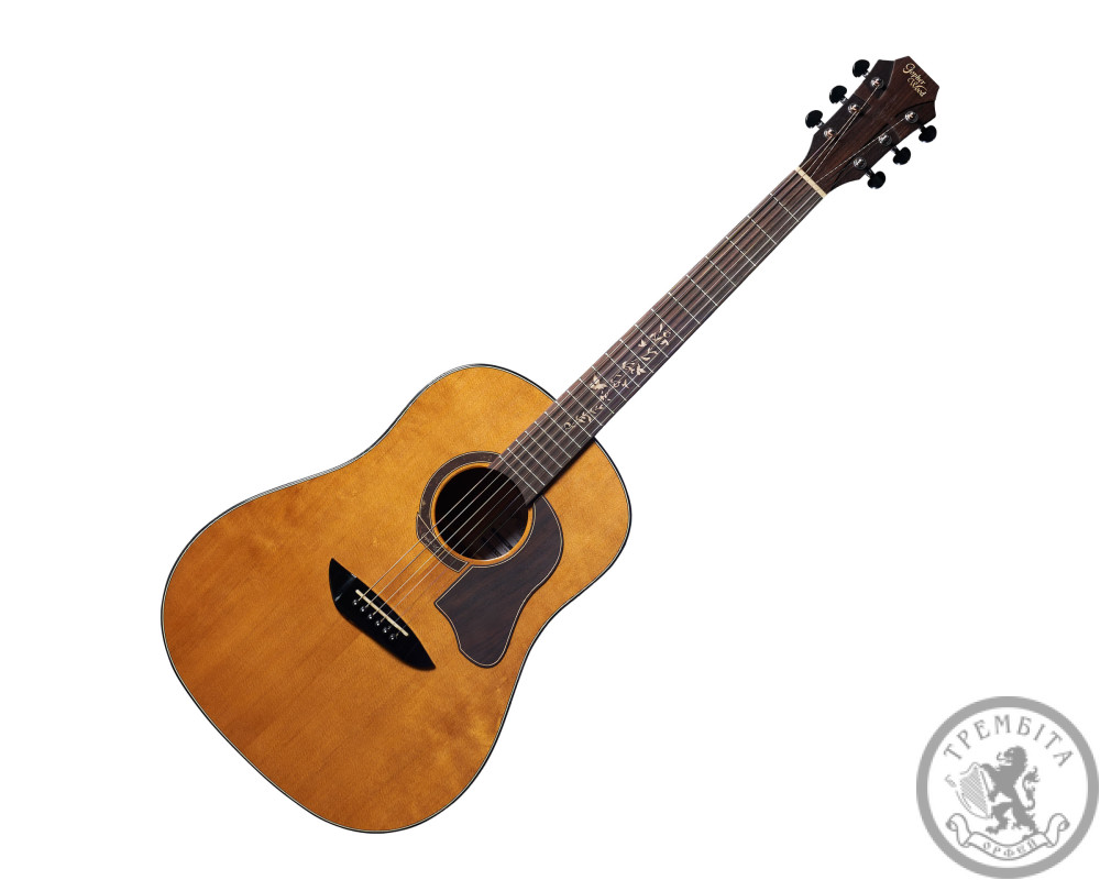 Акустична гітара Gopher Wood K 250 R NA з чохлом