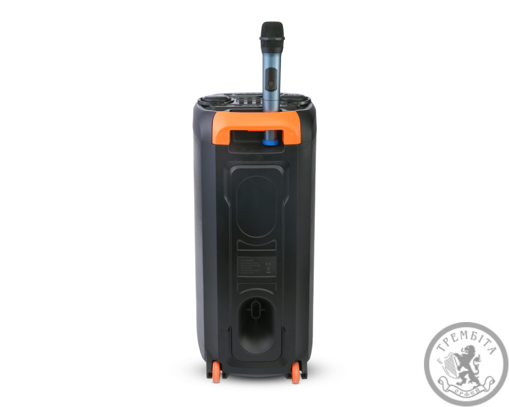 Портативна акустична система HAVIT HV-SQ119BT 40W RGB Black