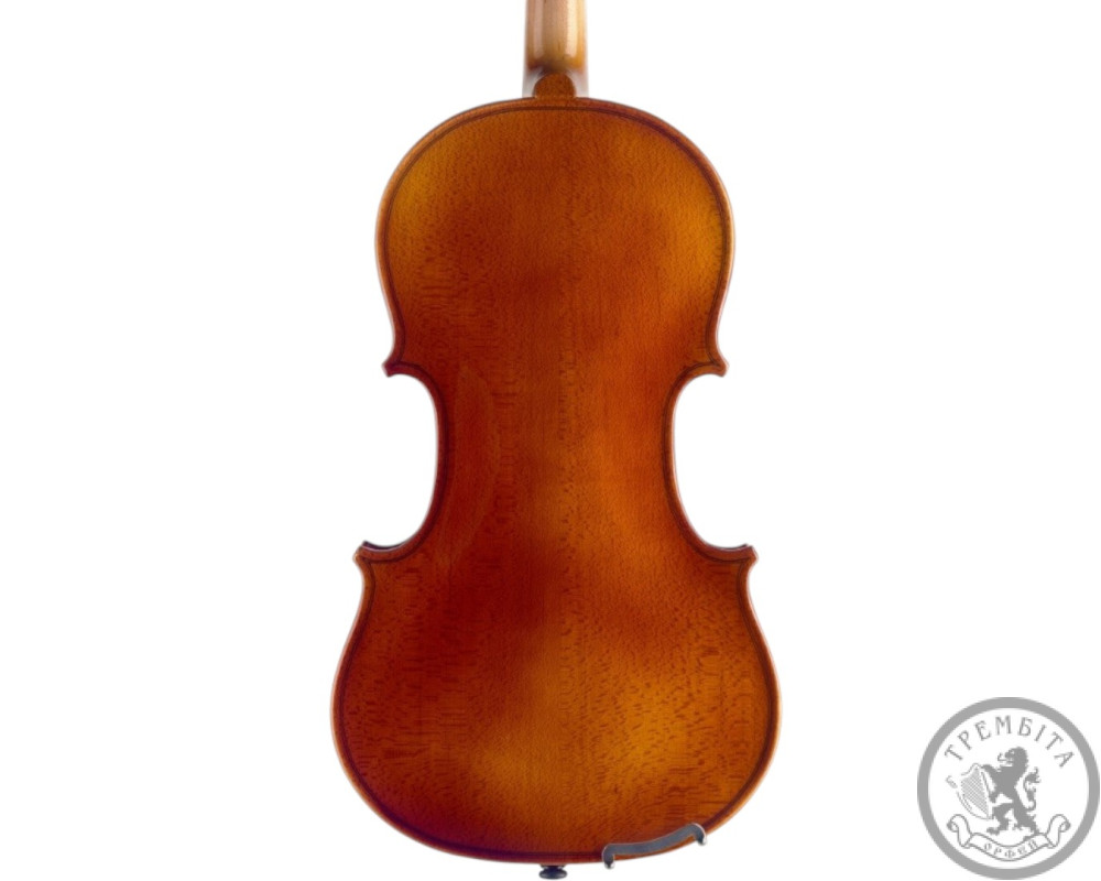 Скрипка STAGG N VN-3/4