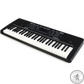 Синтезатор ALESIS HARMONY 54