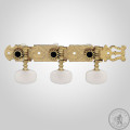 Кілки для класичної гітари GOTOH 35G450 SG